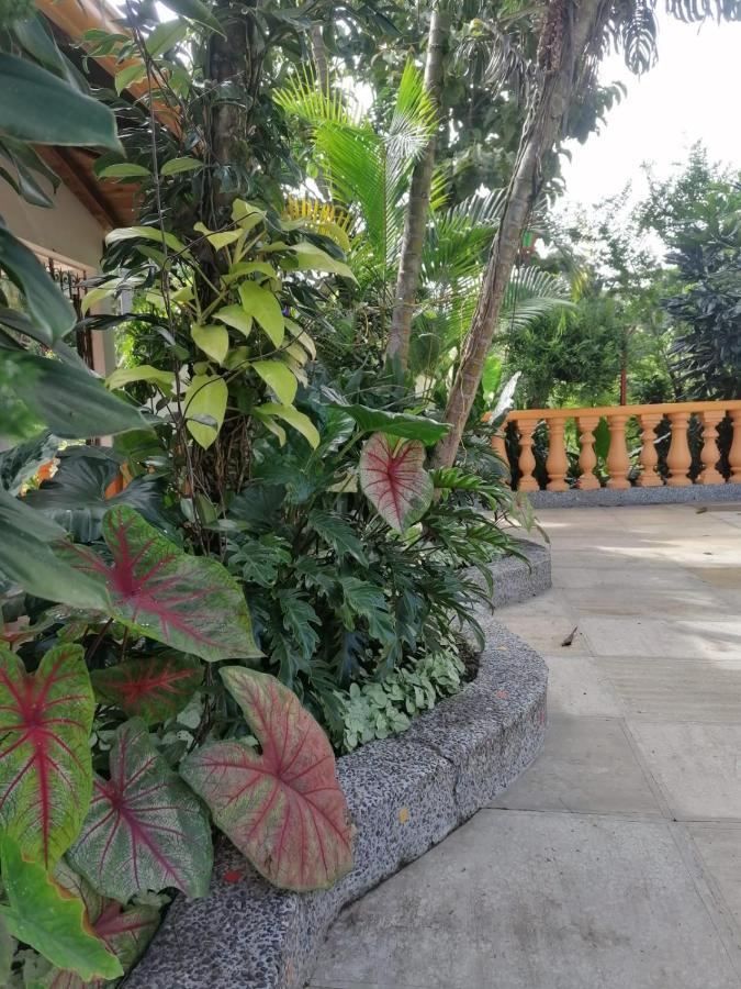 Ecohotel Otrolado Lodge Los Andes  Luaran gambar